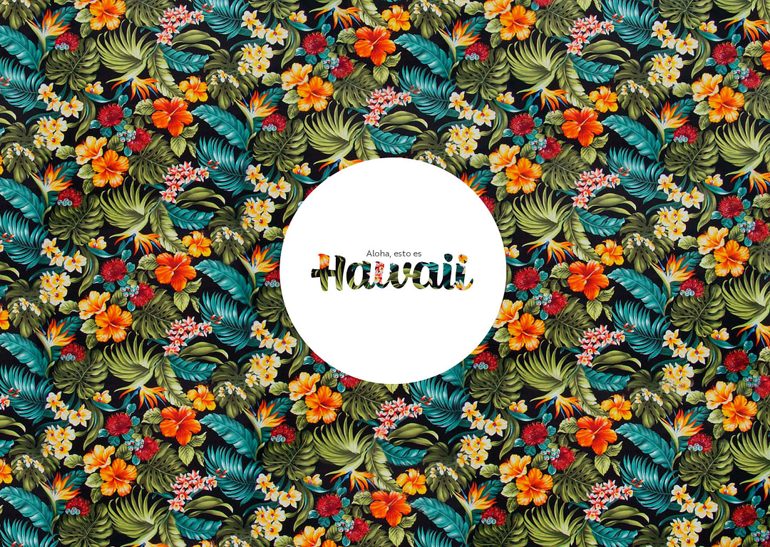 Hawaii cover